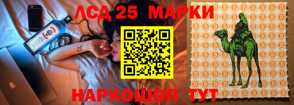 Нефтекумск  ЛСД экстази ecstasy  LSD-25 экстази ecstasy  Вход с VPN 
