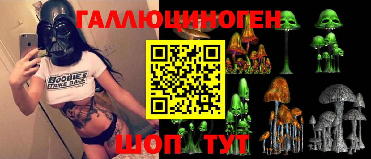 Галлюциногенные грибы Cubensis  Вход с VPN  Нефтекумск 